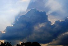 cloud based whatsapp crm