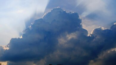 cloud based whatsapp crm