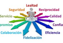 crm base de donnee